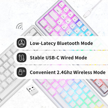 RGB 60% Triple Mode Bt5.0/2.4G/Type-C Hot Swappable Mechanical Keyboard, 61 Keys Bluetooth Mechanical Keyboard,Compact Gaming Keyboard with Software Gateron Blue Switch, White