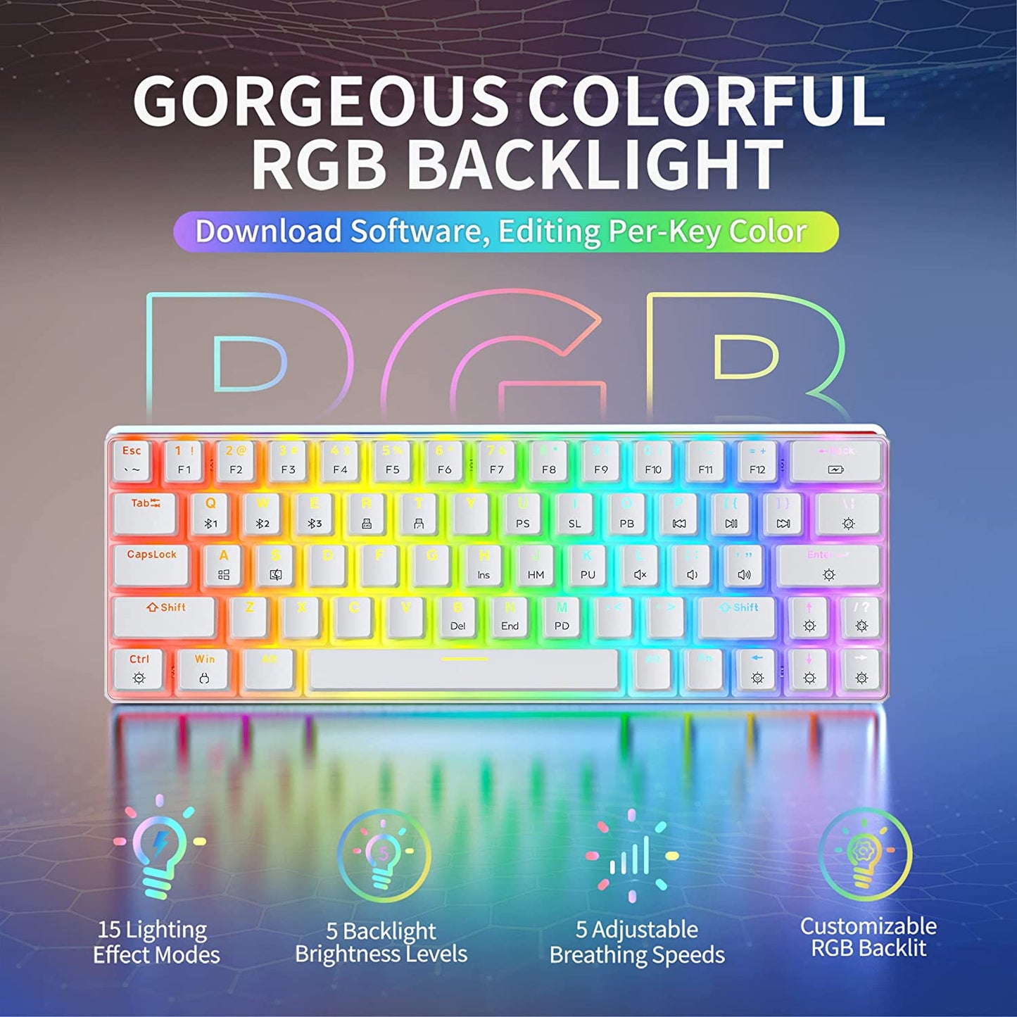 TK63 Wireless Keyboard Bluetooth/2.4G/Usb Wired 60% Mechanical Gaming Keyboard RGB Backlit PBT Pudding Keycaps Hot-Swappable