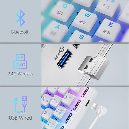 TK63 Wireless Keyboard Bluetooth/2.4G/Usb Wired 60% Mechanical Gaming Keyboard RGB Backlit PBT Pudding Keycaps Hot-Swappable